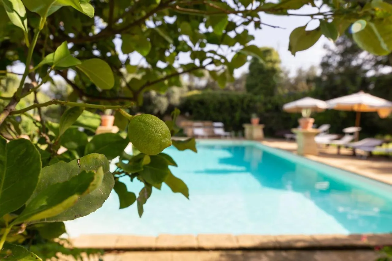 Tenuta Donna Vittoria - Edera Trapani
